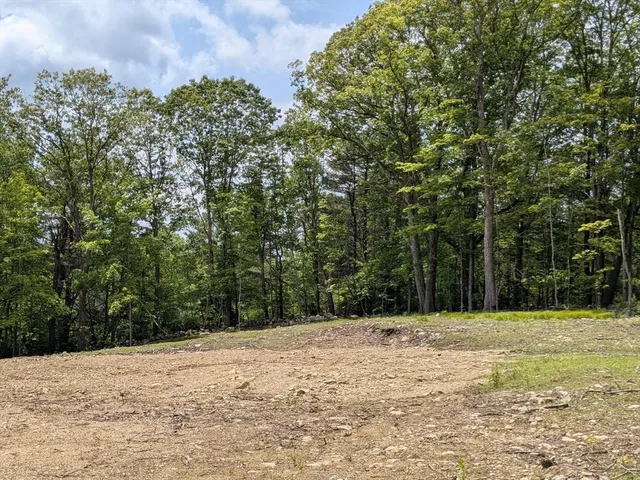 a outdoor space covered with trees