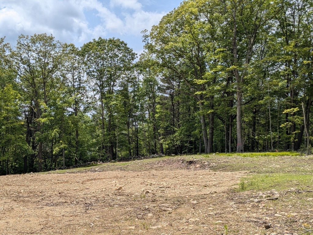 45 Old Colony Road Princeton, MA 01541 - Photo 6 of 7 a outdoor space covered with trees