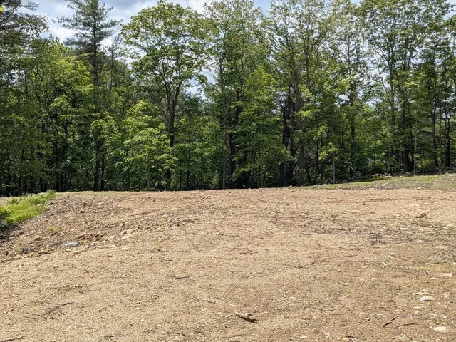 a view of hard wood floor