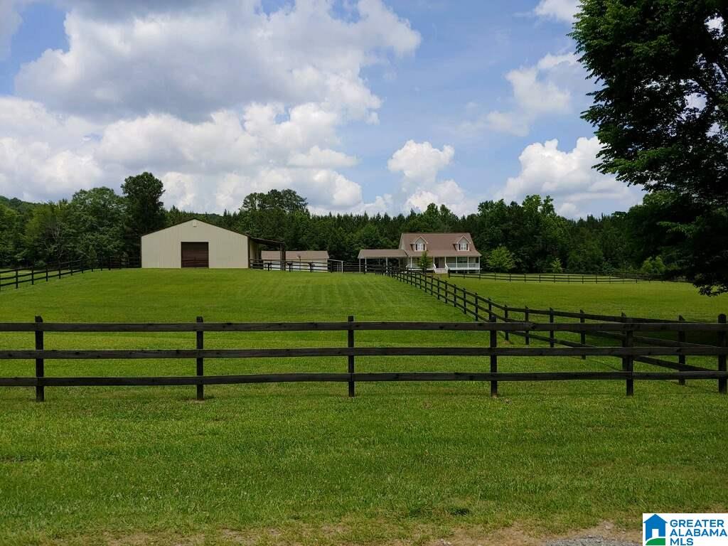 456 Slasham Road Ashville, AL 35953 - Photo 1 of 8