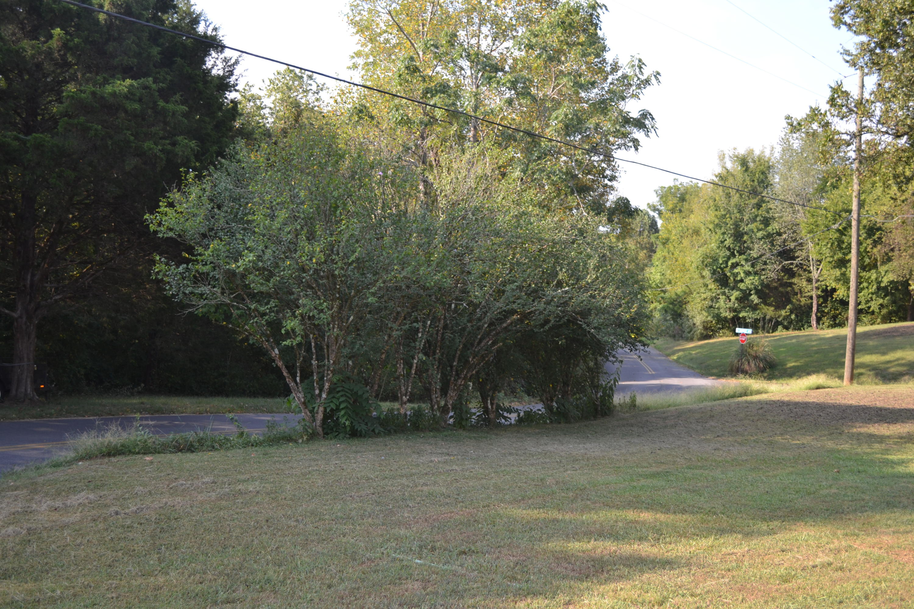 2478 Roberts Road Kodak, TN 37764 - Photo 23 of 30 DSC_0032