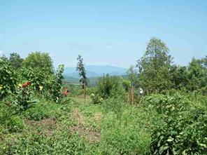 4294 Littlejohn Church Road Lenoir, NC 28645 - Photo 3 of 9 Gallery Image 3