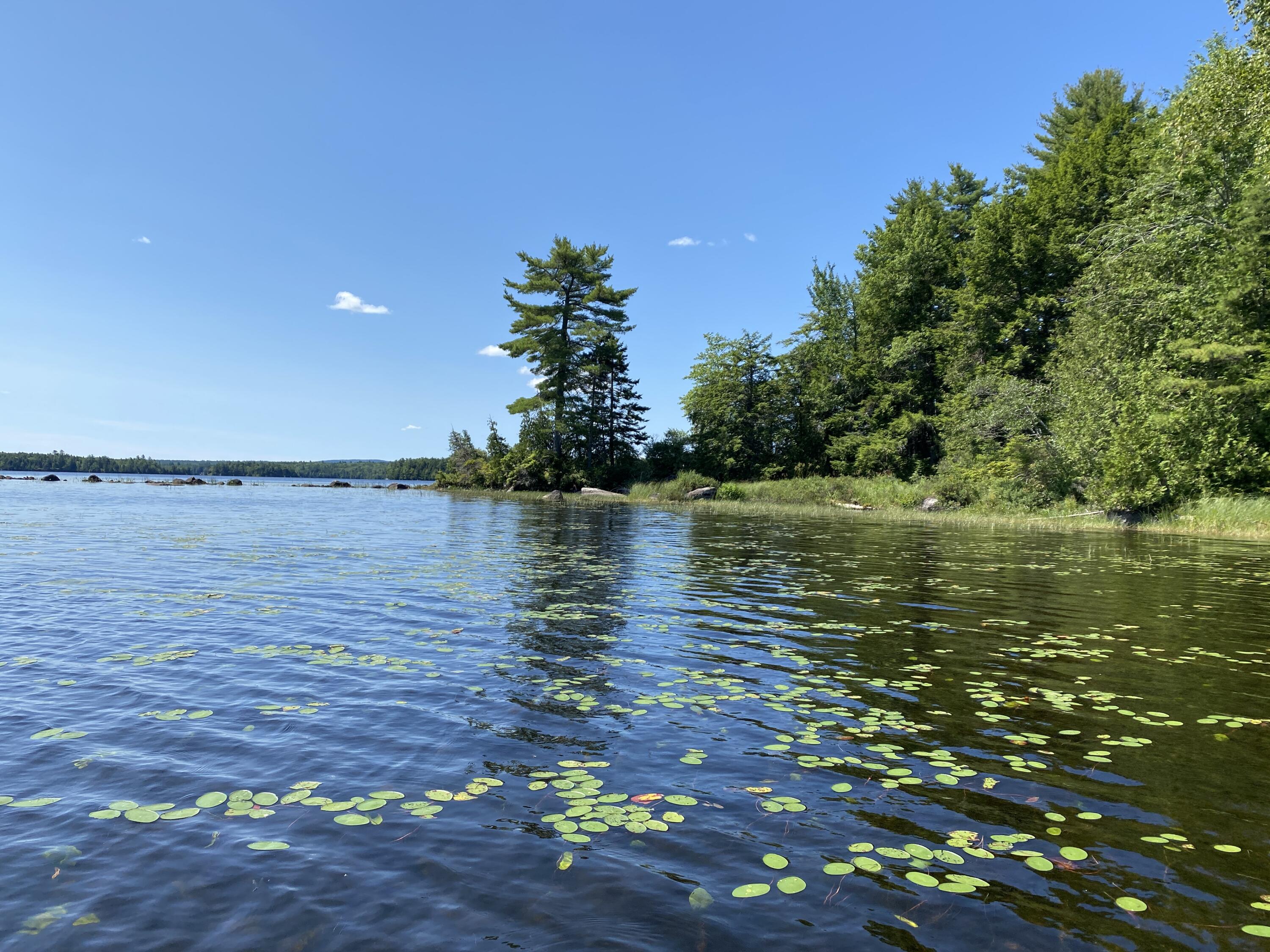 Tbd Depot Road Lakeville, ME 04487 - Photo 52 of 56