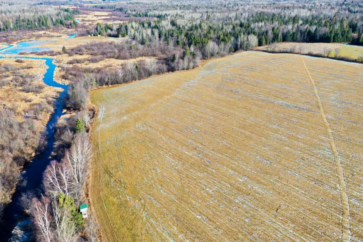 59-acres County Rd D Westboro, WI 54490 - Photo 1 of 1