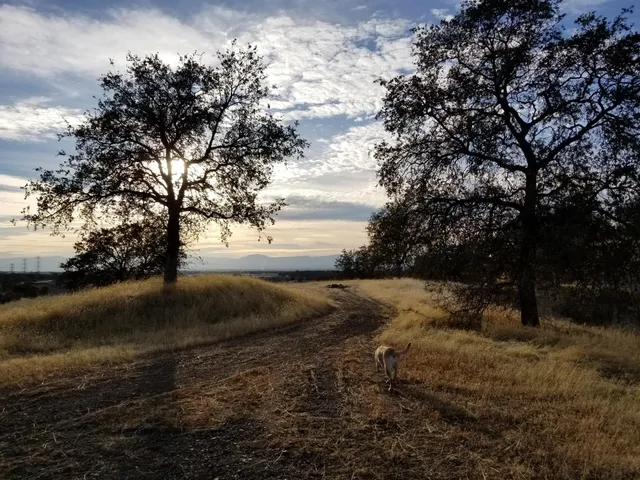 a view of lake view with large trees
