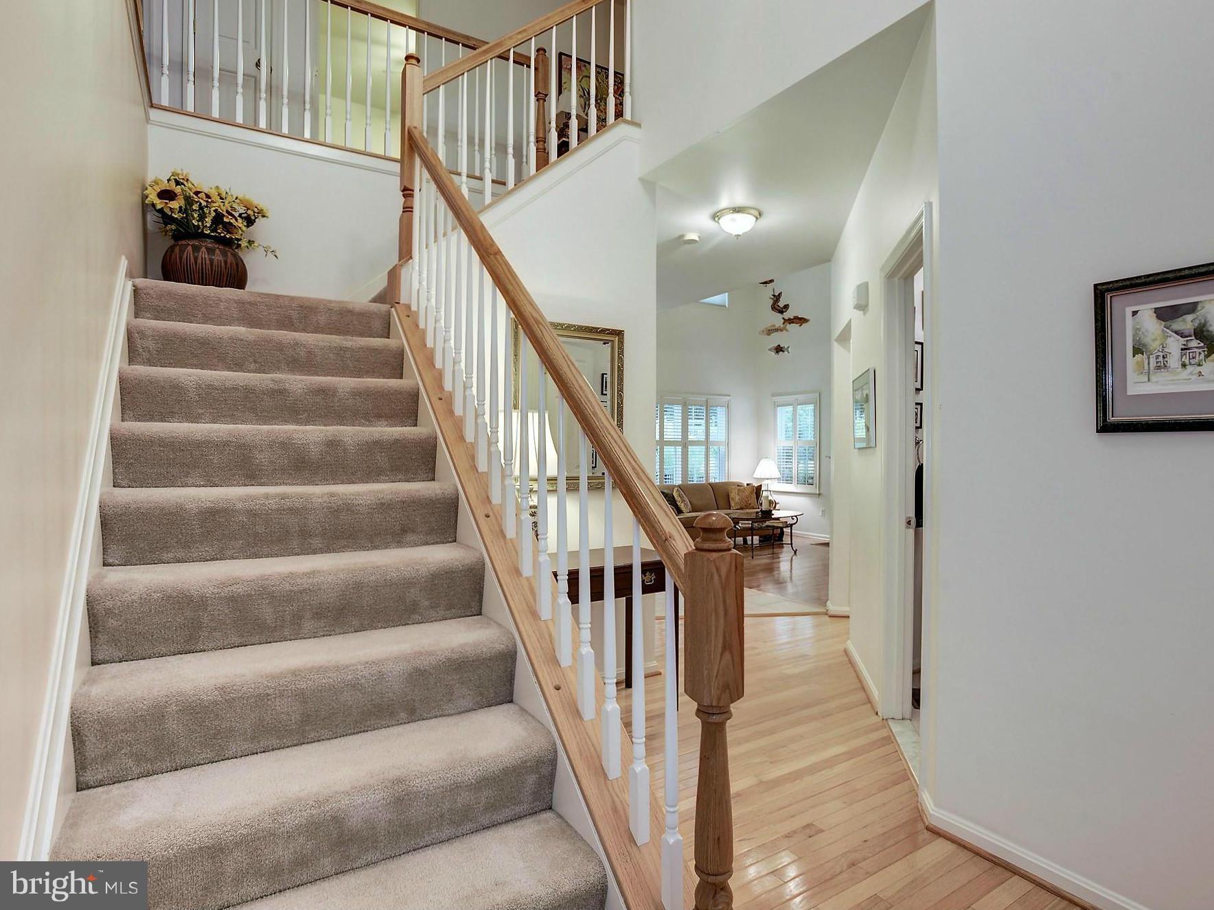 3923 Forest Valley Road Baltimore, MD 21234 - Photo 4 of 30 FOYER