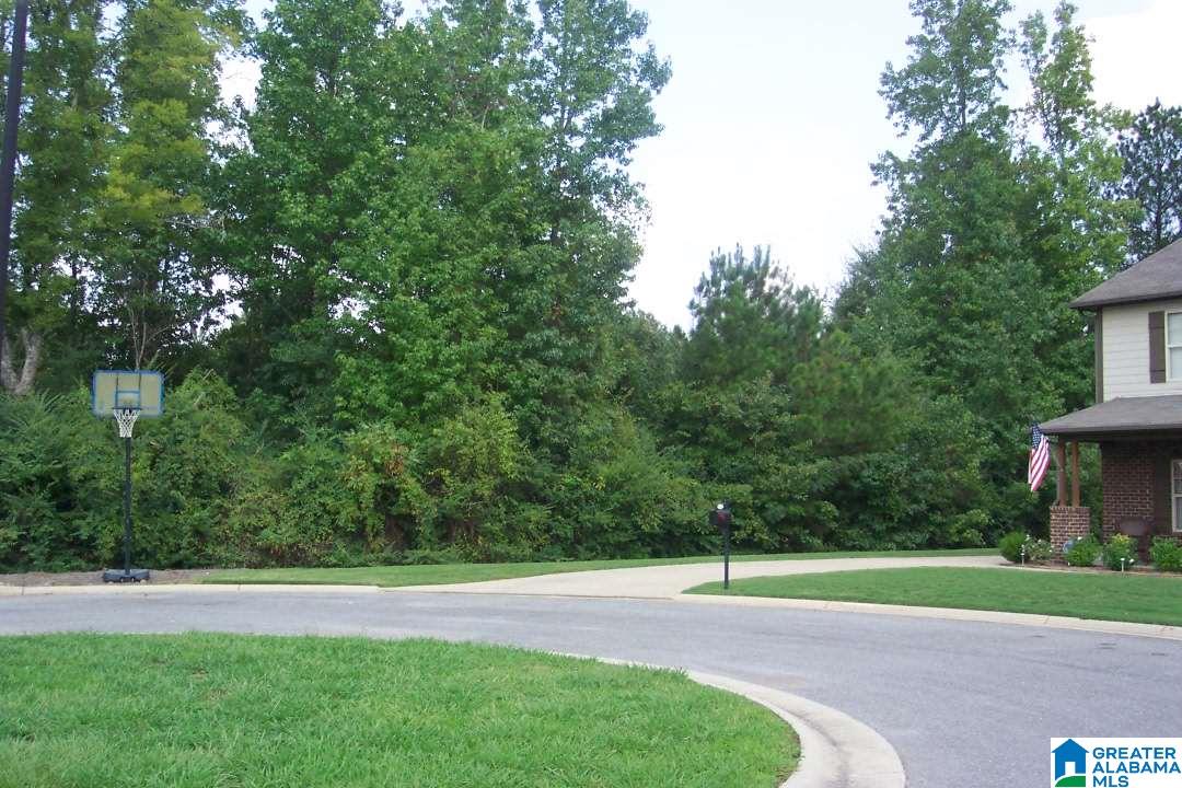 4060 Prescott Court Springville, AL 35146 - Photo 28 of 28