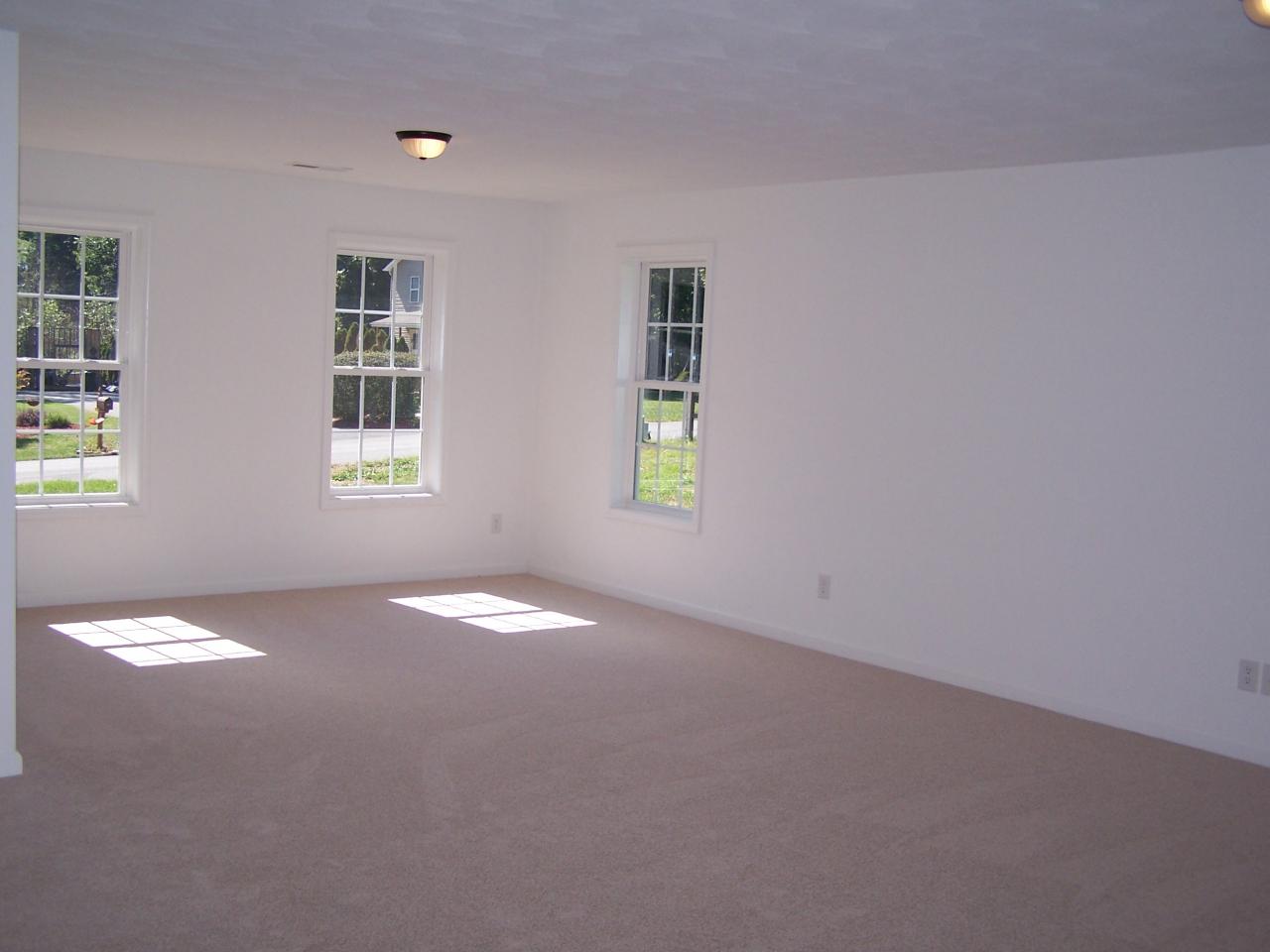 412 Scalybark Drive Blue Ridge, VA 24064 - Photo 8 of 10 Family room