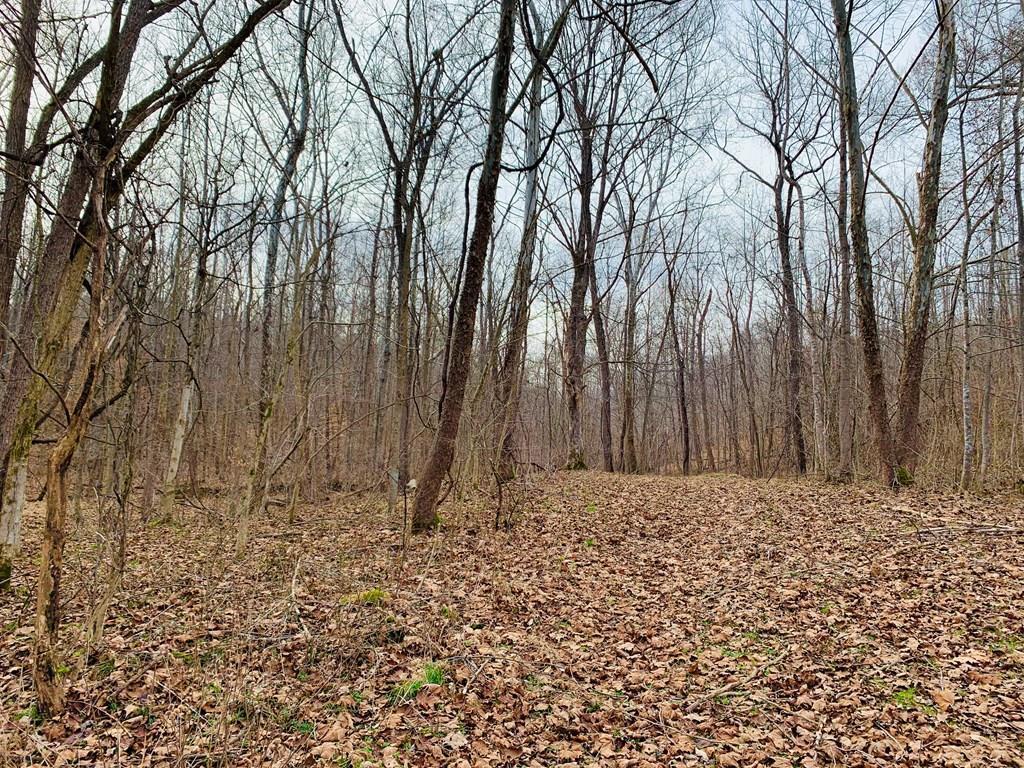 1044 Boswell Run Road Piketon, OH 45661 - Photo 1 of 4