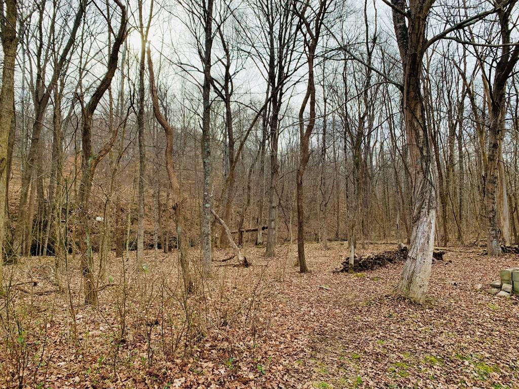 1044 Boswell Run Road Piketon, OH 45661 - Photo 2 of 4