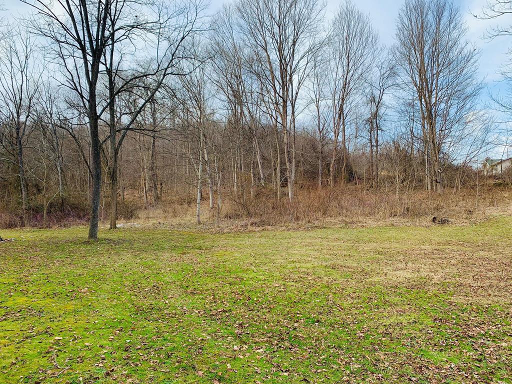 1044 Boswell Run Road Piketon, OH 45661 - Photo 4 of 4