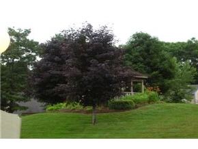 - Franklin Heights, Unit 37 Rochester, NH 03867 - Photo 2 of 3