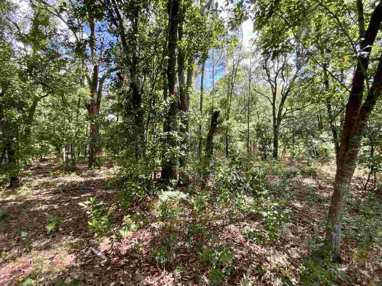 Vacant Southwest Live Oak Road Madison, FL 32340 - Photo 11 of 35 Gallery Image 11