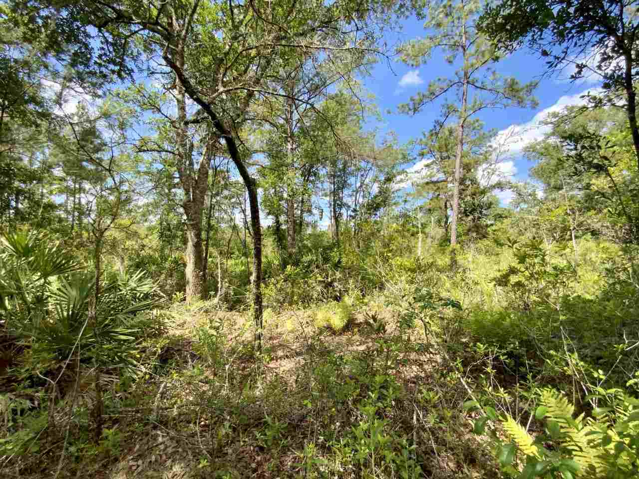 Vacant Southwest Live Oak Road Madison, FL 32340 - Photo 12 of 35 Gallery Image 12