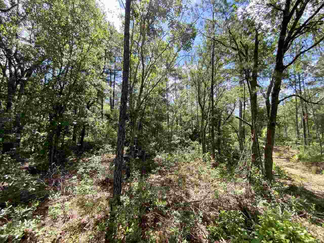 Vacant Southwest Live Oak Road Madison, FL 32340 - Photo 13 of 35 Gallery Image 13