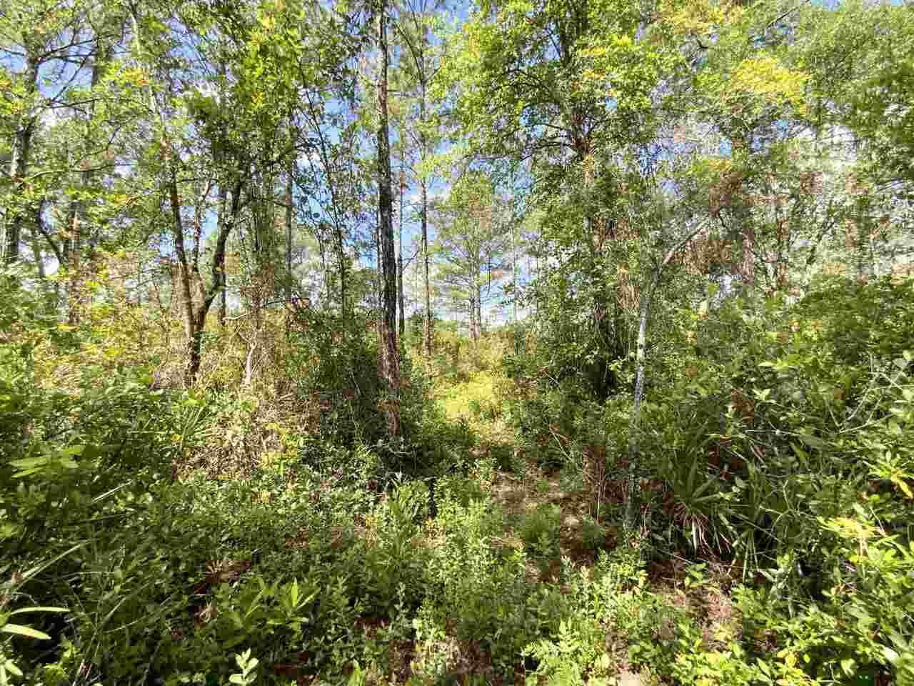 Vacant Southwest Live Oak Road Madison, FL 32340 - Photo 17 of 35 Gallery Image 17