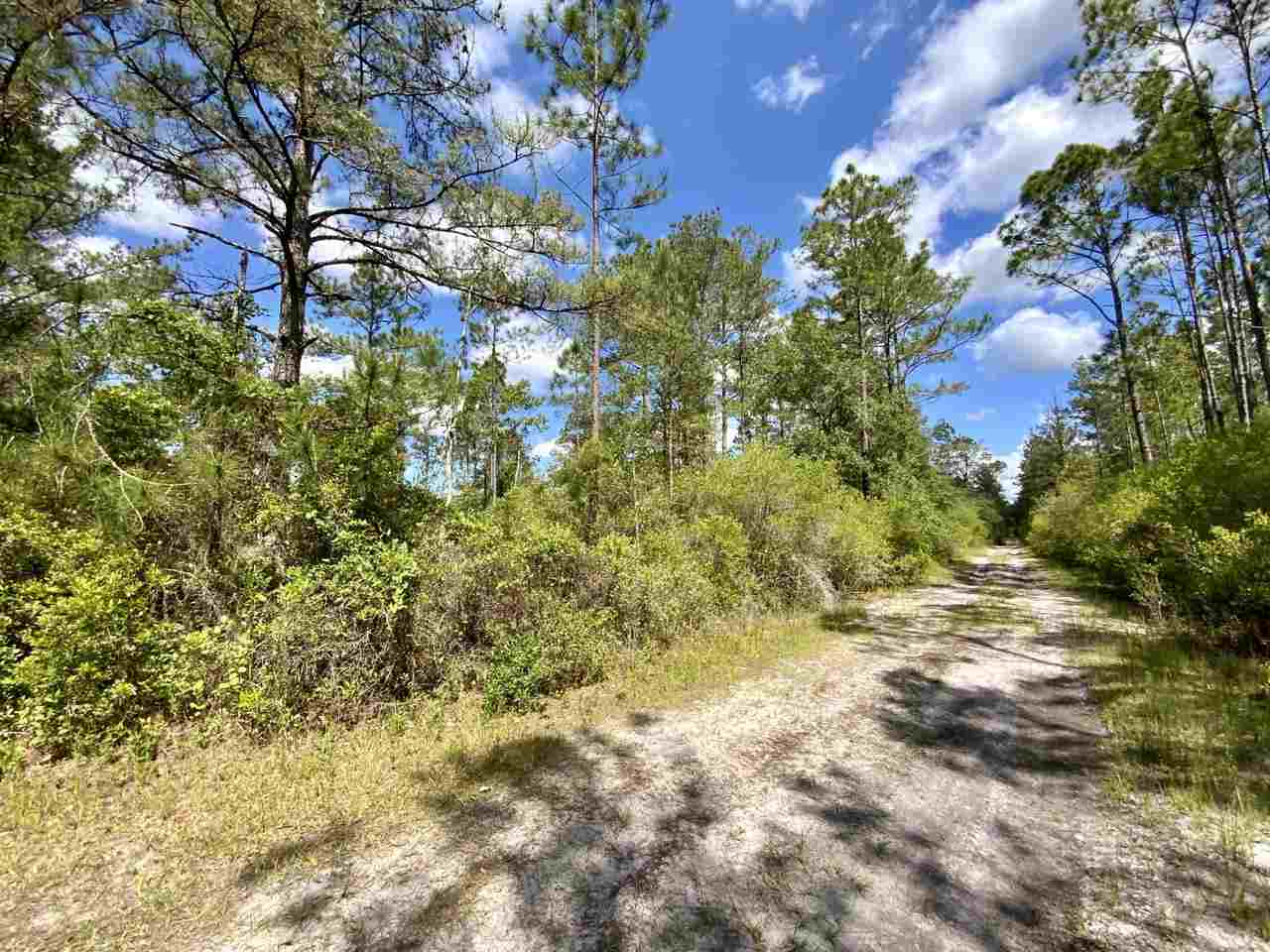 Vacant Southwest Live Oak Road Madison, FL 32340 - Photo 18 of 35 Gallery Image 18