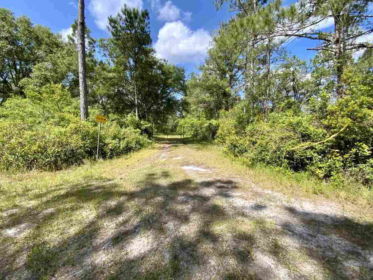 Vacant Southwest Live Oak Road Madison, FL 32340 - Photo 19 of 35 Gallery Image 19