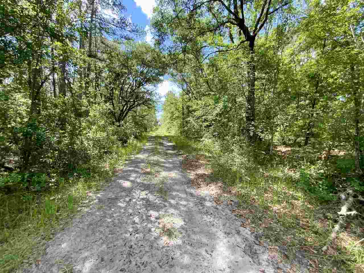 Vacant Southwest Live Oak Road Madison, FL 32340 - Photo 26 of 35 Gallery Image 26