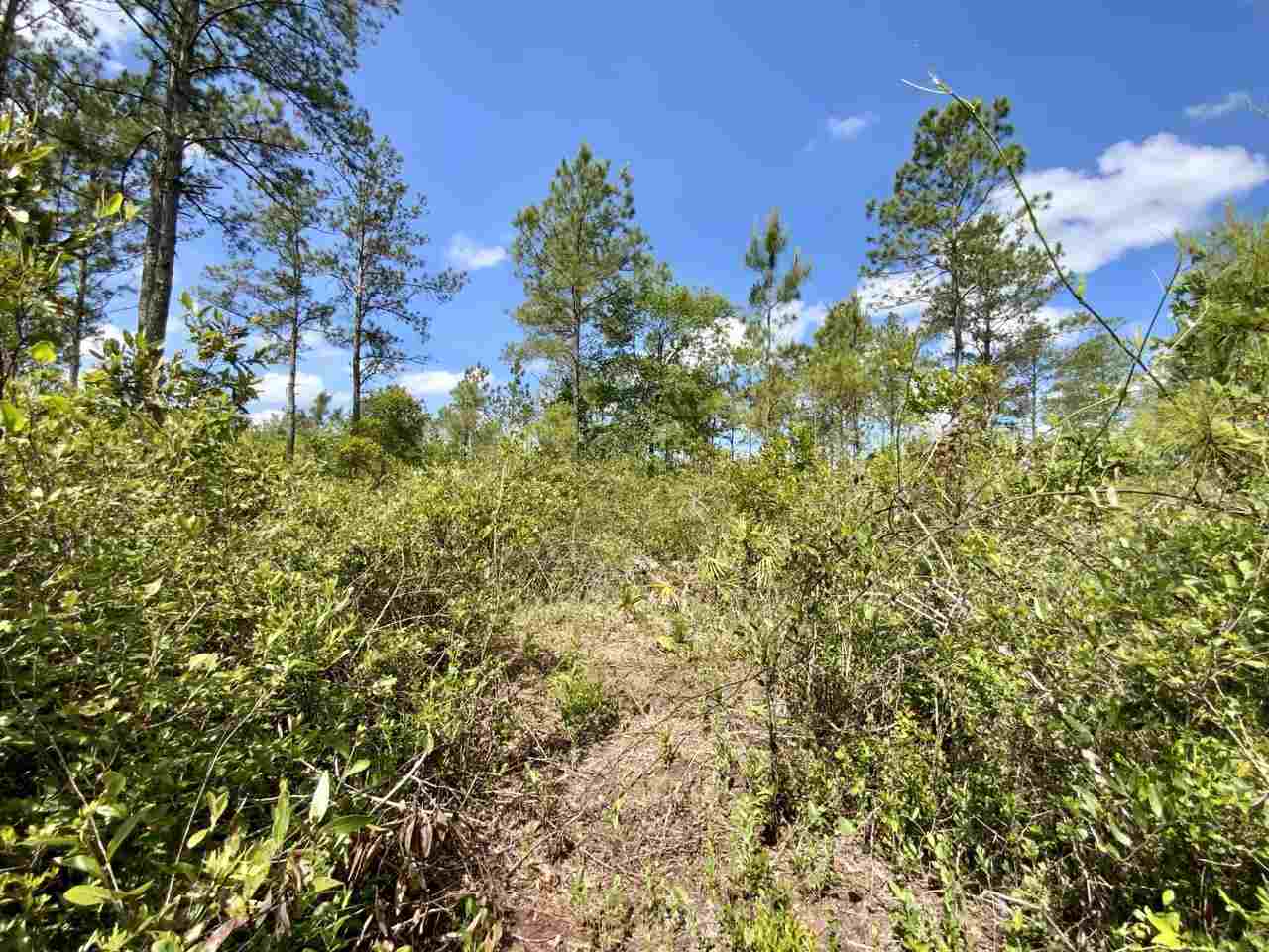 Vacant Southwest Live Oak Road Madison, FL 32340 - Photo 30 of 35 Gallery Image 30