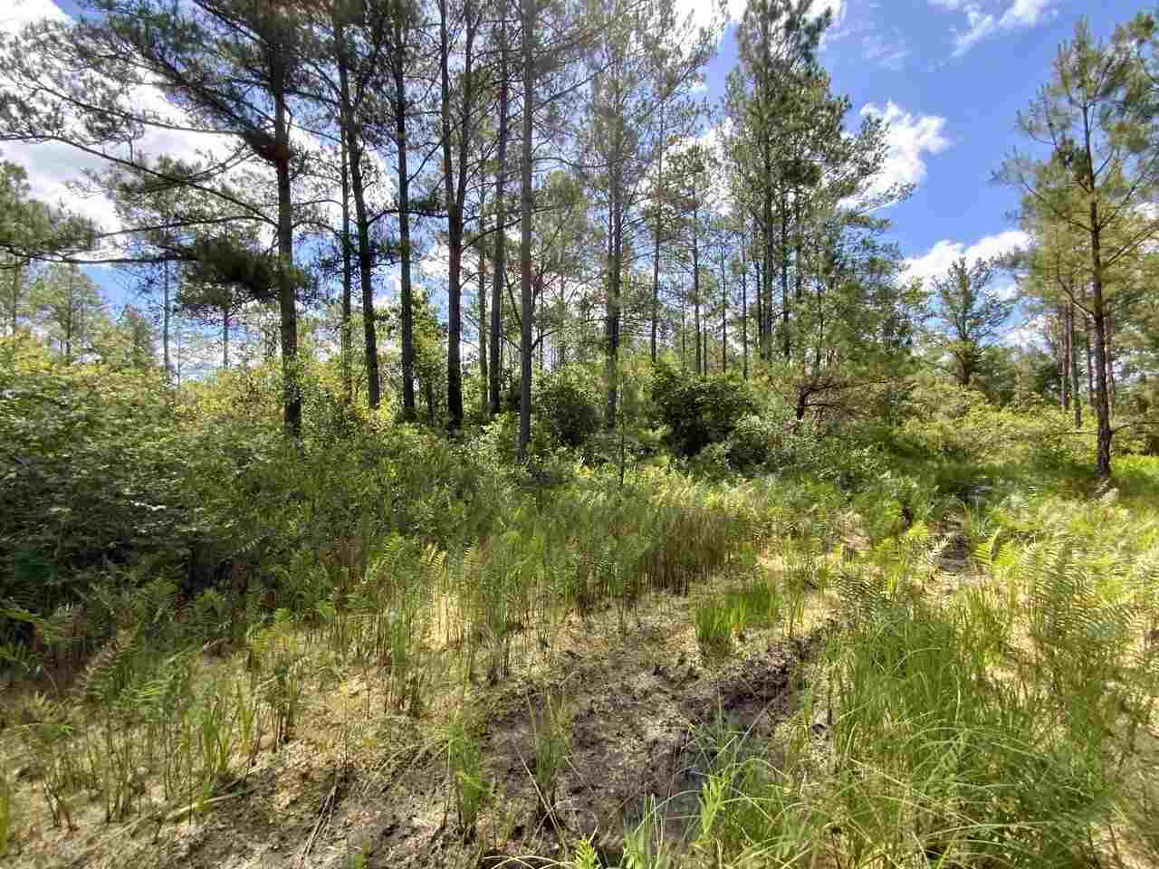 Vacant Southwest Live Oak Road Madison, FL 32340 - Photo 31 of 35 Gallery Image 31