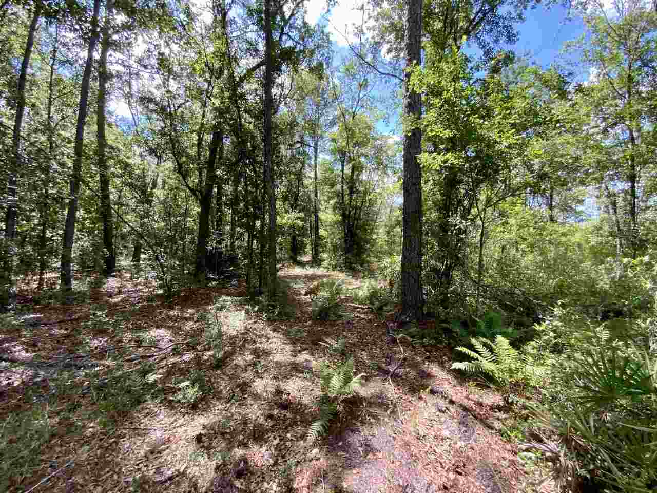 Vacant Southwest Live Oak Road Madison, FL 32340 - Photo 33 of 35 Gallery Image 33