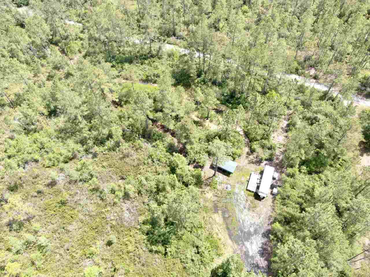 Vacant Southwest Live Oak Road Madison, FL 32340 - Photo 5 of 35 Gallery Image 5