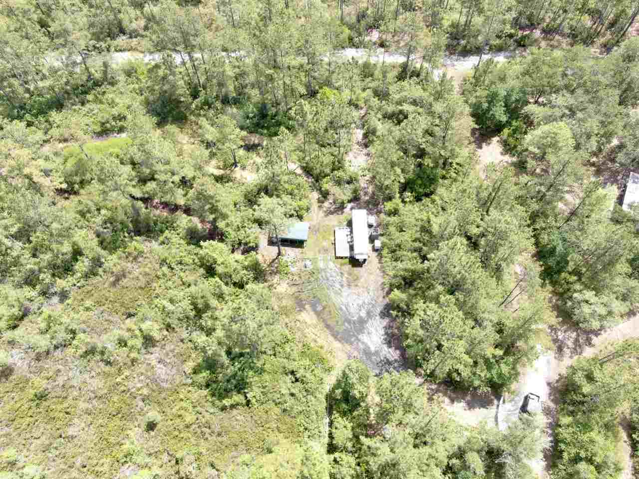 Vacant Southwest Live Oak Road Madison, FL 32340 - Photo 6 of 35 Gallery Image 6