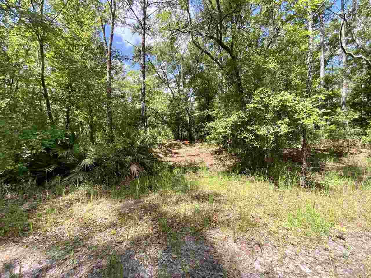Vacant Southwest Live Oak Road Madison, FL 32340 - Photo 7 of 35 Gallery Image 7