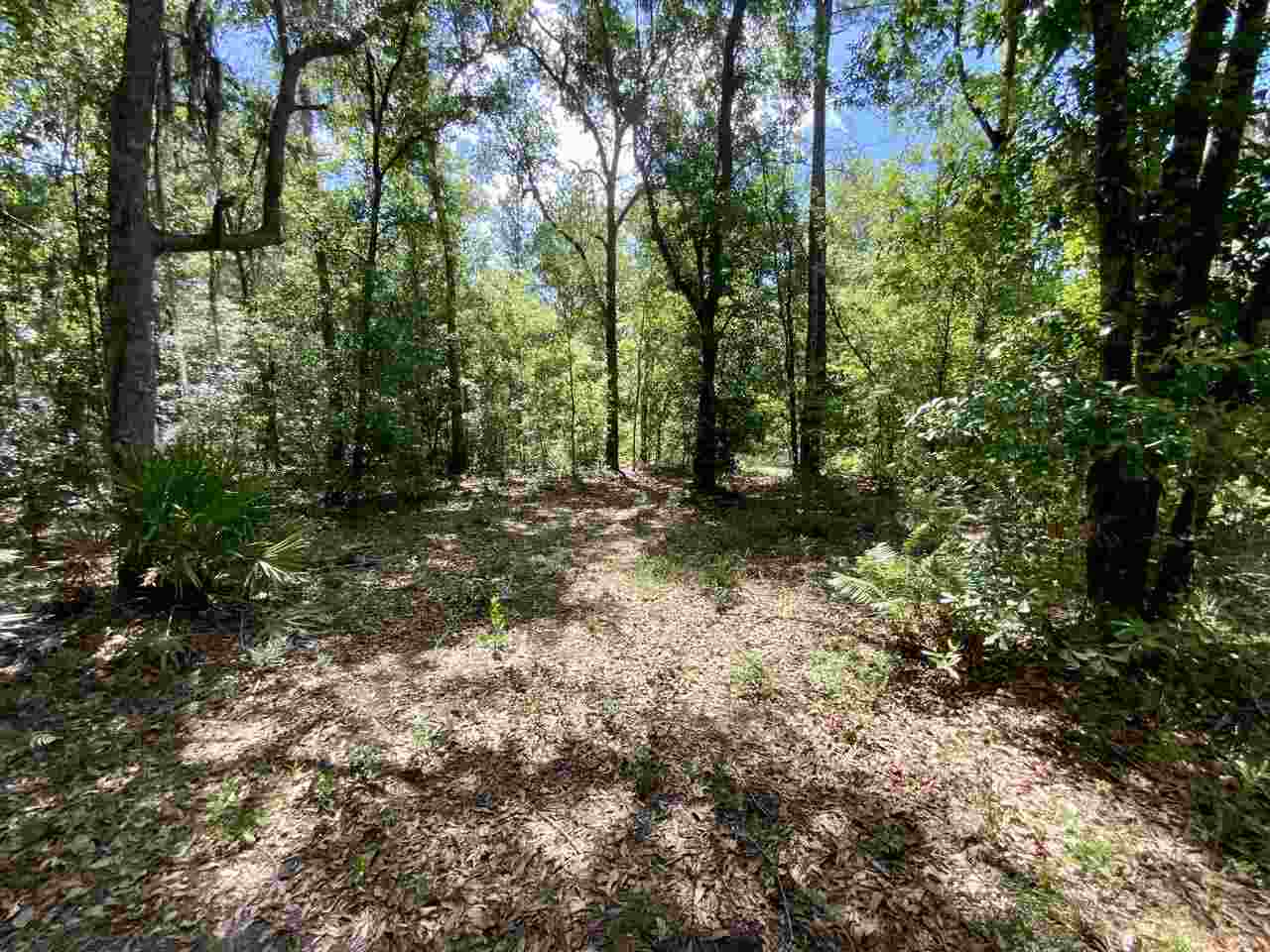 Vacant Southwest Live Oak Road Madison, FL 32340 - Photo 8 of 35 Gallery Image 8