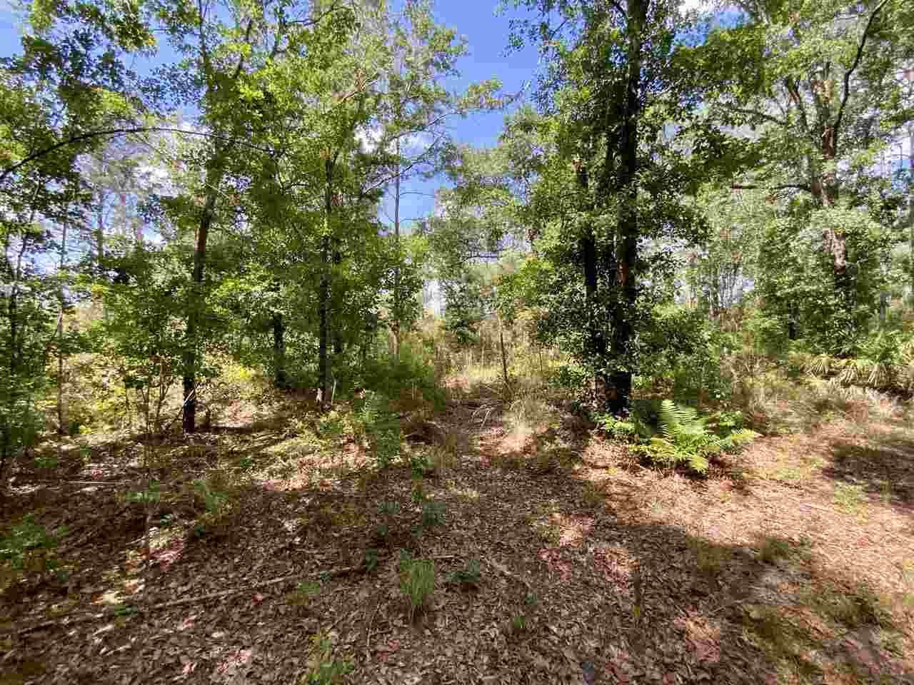 Vacant Southwest Live Oak Road Madison, FL 32340 - Photo 9 of 35 Gallery Image 9