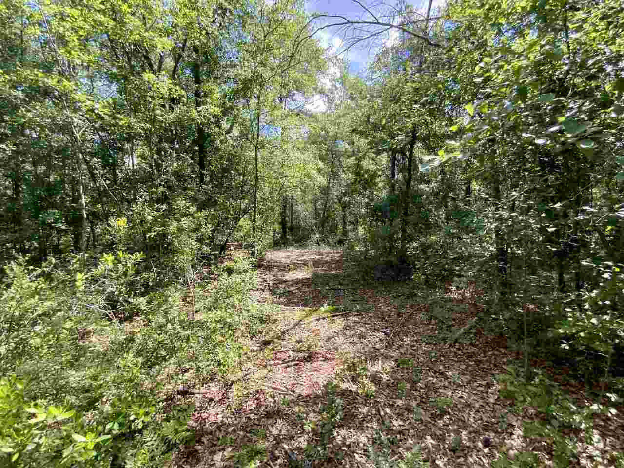Vacant Southwest Live Oak Road Madison, FL 32340 - Photo 10 of 35 Gallery Image 10