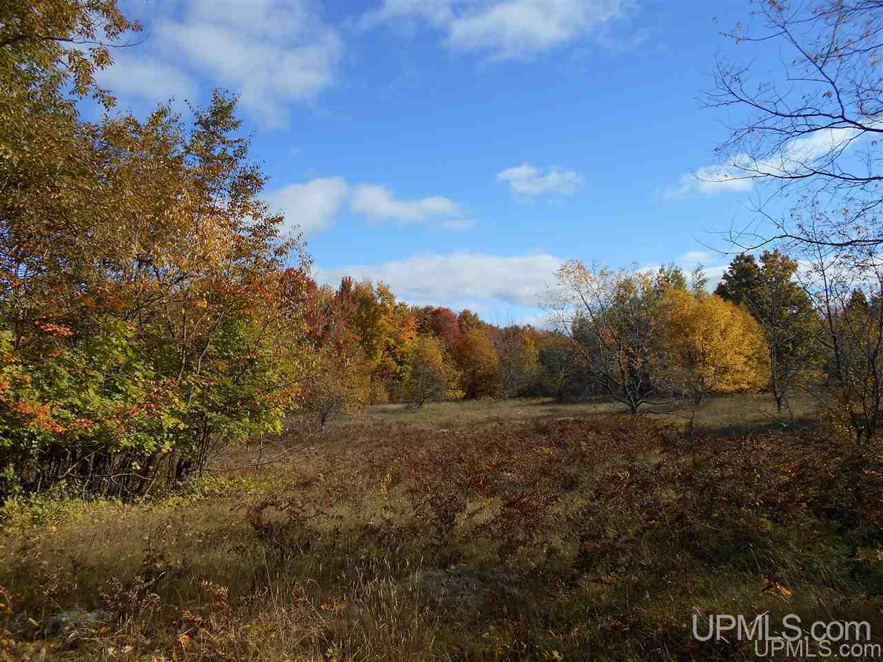 Tbd Tee Lake Road, Unit EAST PARCEL Germfask, MI 49836 - Photo 7 of 10