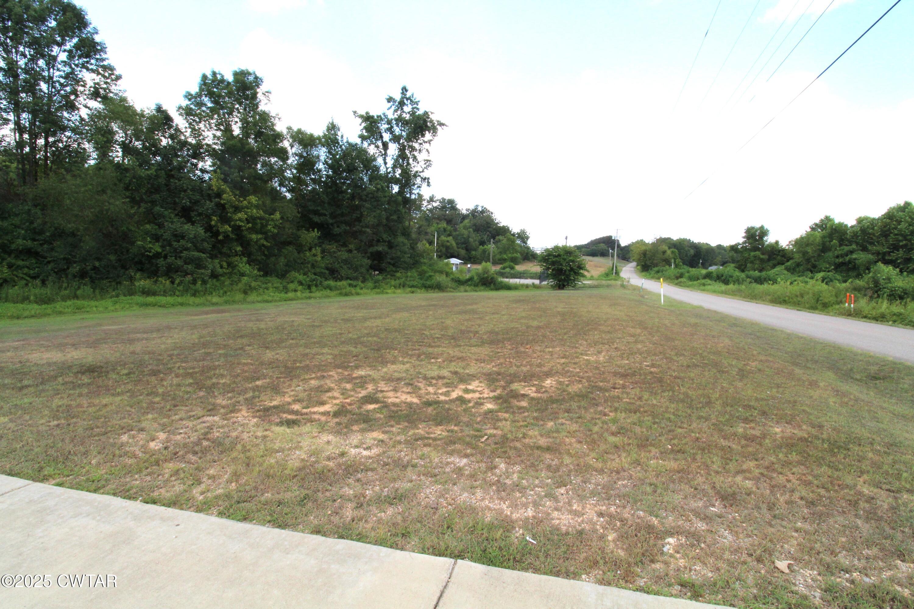 3125 Old Huntingdon Road Lexington, TN 38351 - Photo 4 of 17 a view of a field with trees in background