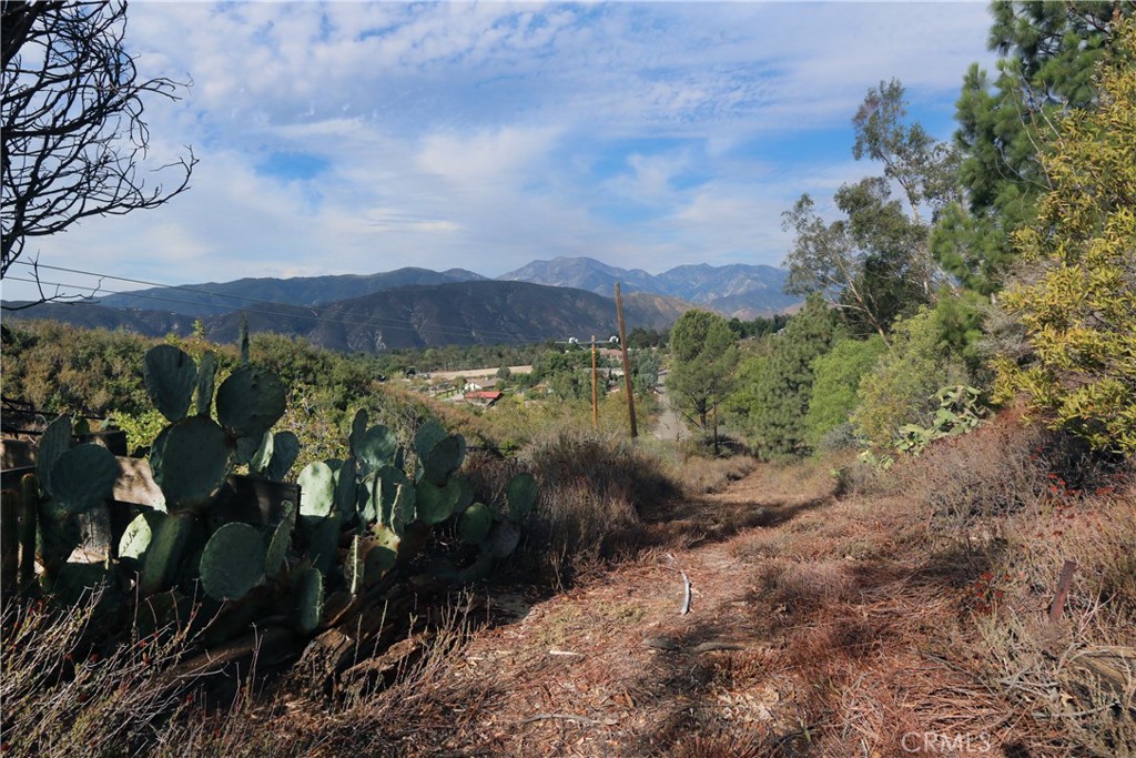 0 Na San Bernardino, CA 92407 - Photo 3 of 10 a view of a yard with wooden fence