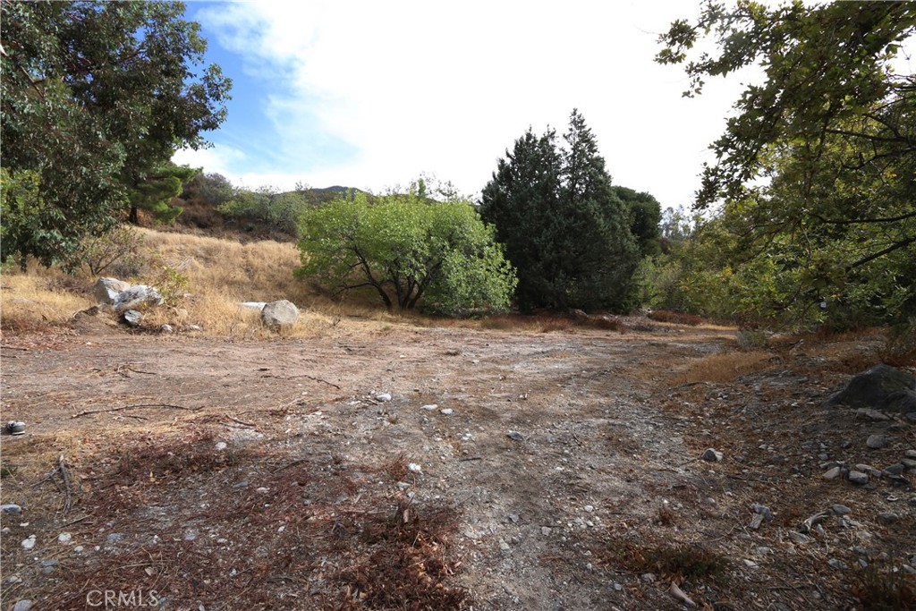 0 Na San Bernardino, CA 92407 - Photo 10 of 10 a view of a dry yard with trees