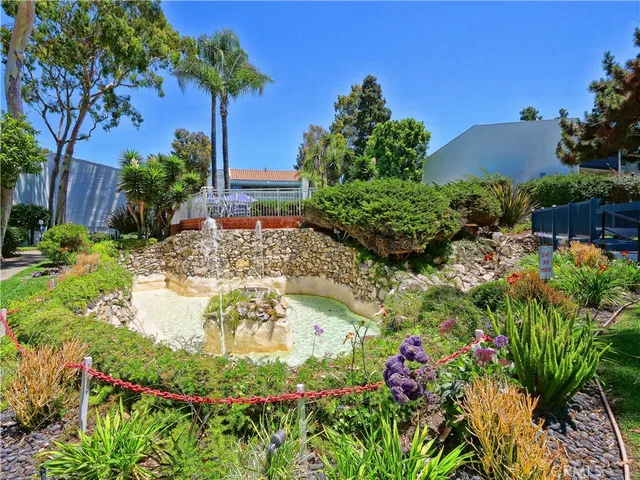 a view of a garden with plants