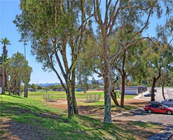 a view of a park that has large trees