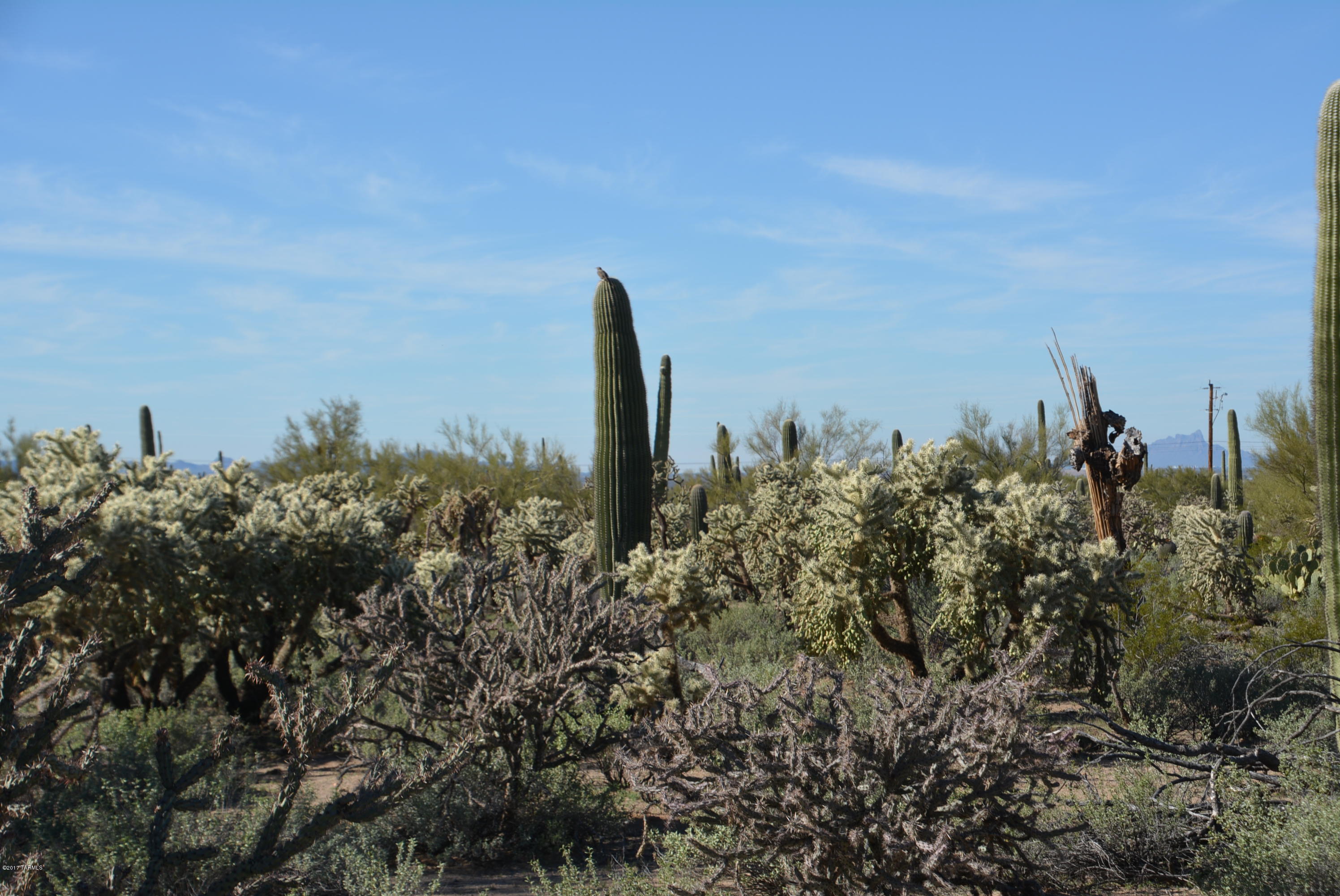 11700 West Rudasill Road, Unit LOT 4 Tucson, AZ 85743 - Photo 22 of 33