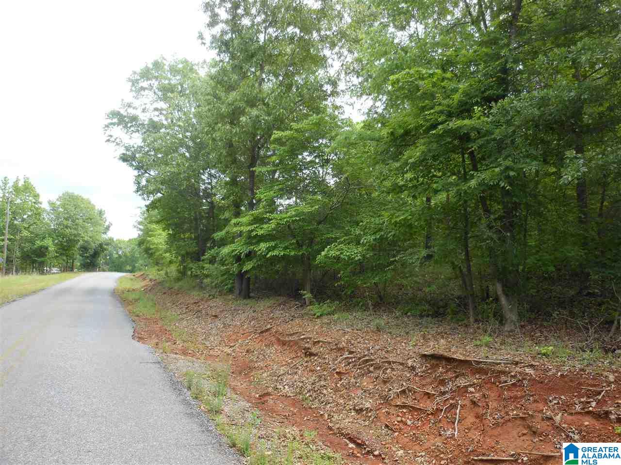 Heasletts Road Childersburg, AL 35044 - Photo 2 of 2
