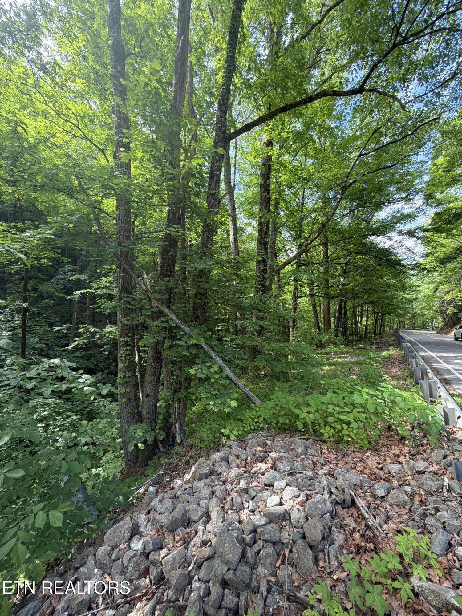 Wears Valley Rd Road Townsend, TN 37882 - Photo 4 of 8 DJI_20260512_105509_442