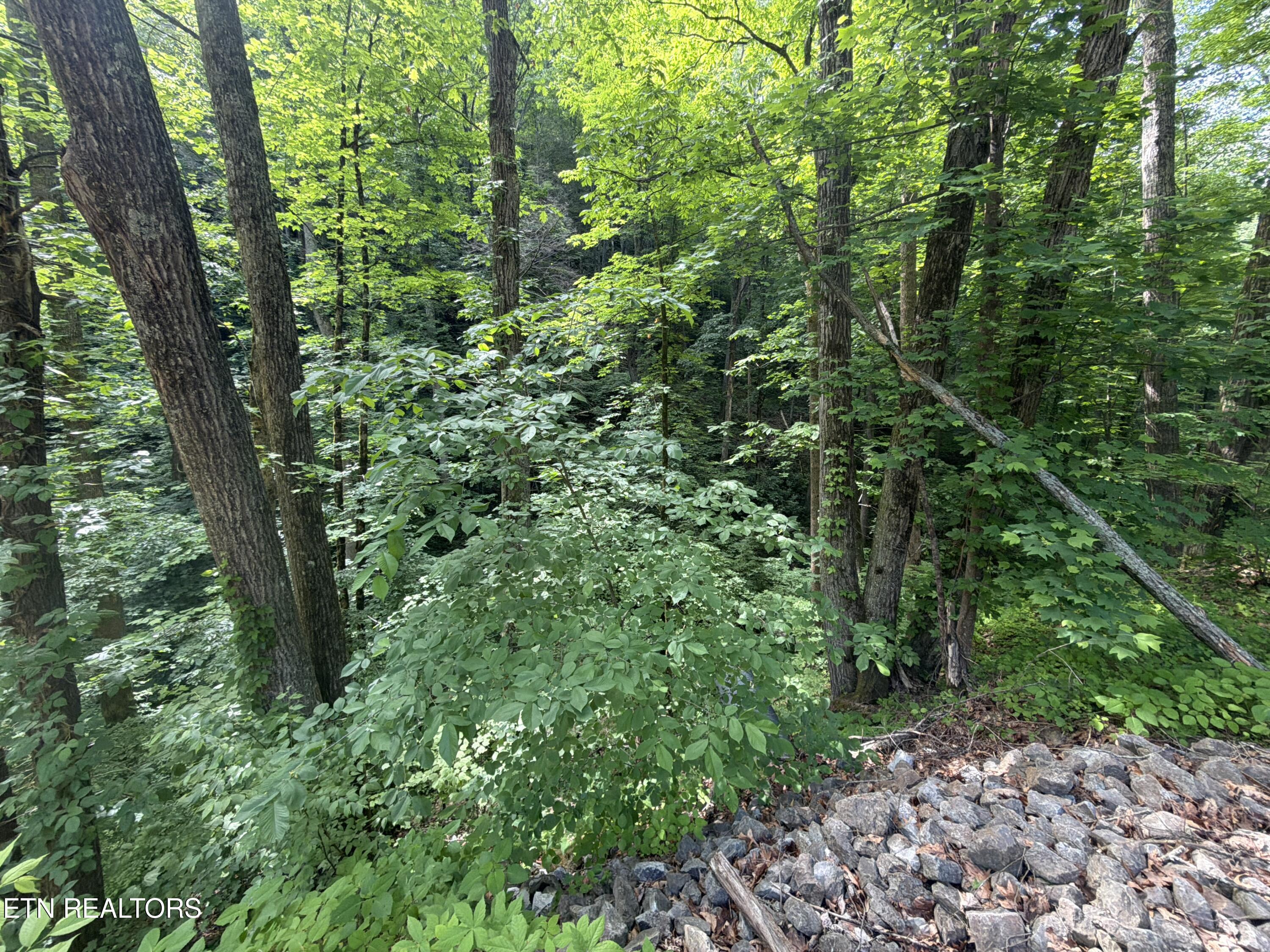 Wears Valley Rd Road Townsend, TN 37882 - Photo 5 of 8 DJI_20260512_105515_349