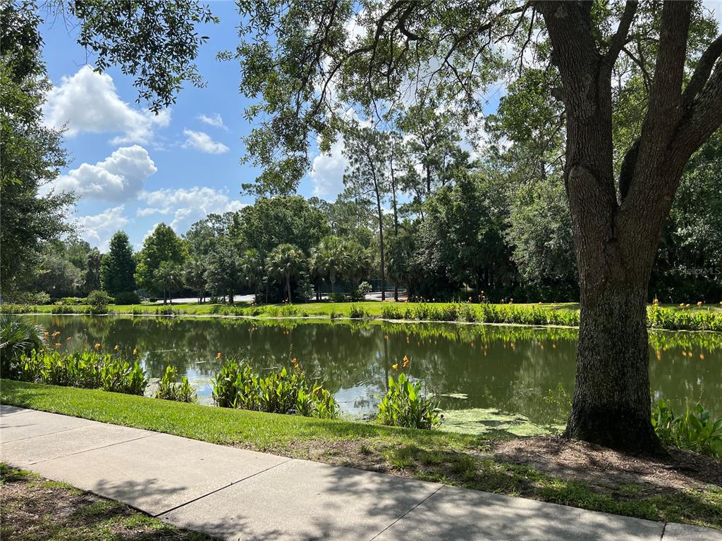 619 Front Street, Unit 3104 Celebration, FL 34747 - Photo 14 of 14