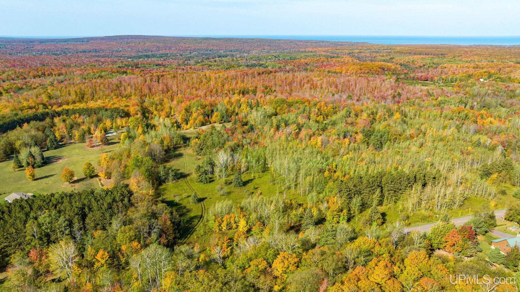 48649 Larson Road Atlantic Mine, MI 49905 - Photo 11 of 47 Gallery Image 11