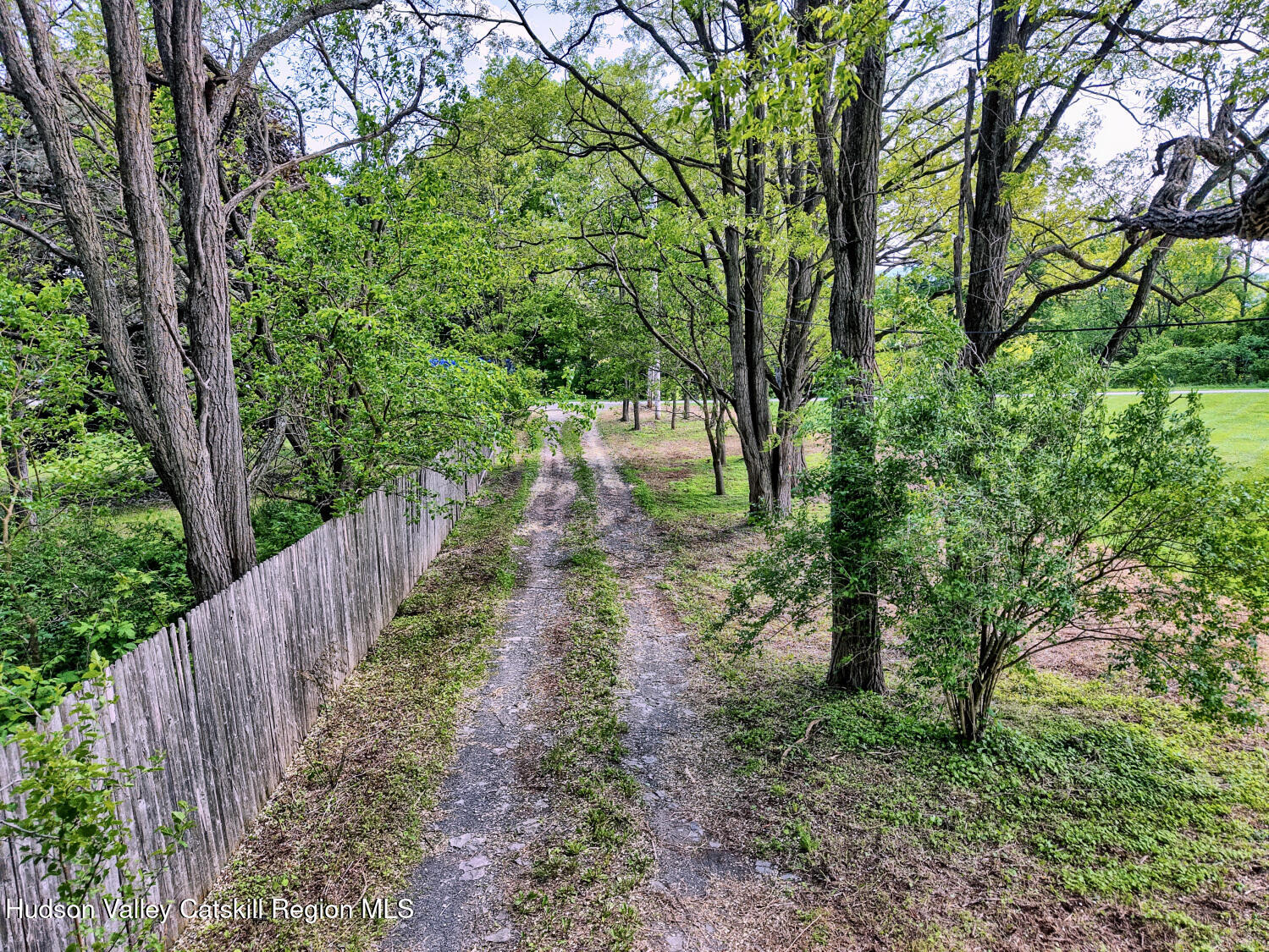 360 Stone Bridge Rd Extension East Durham, NY 12423 - Photo 17 of 83 a pathway of a yard