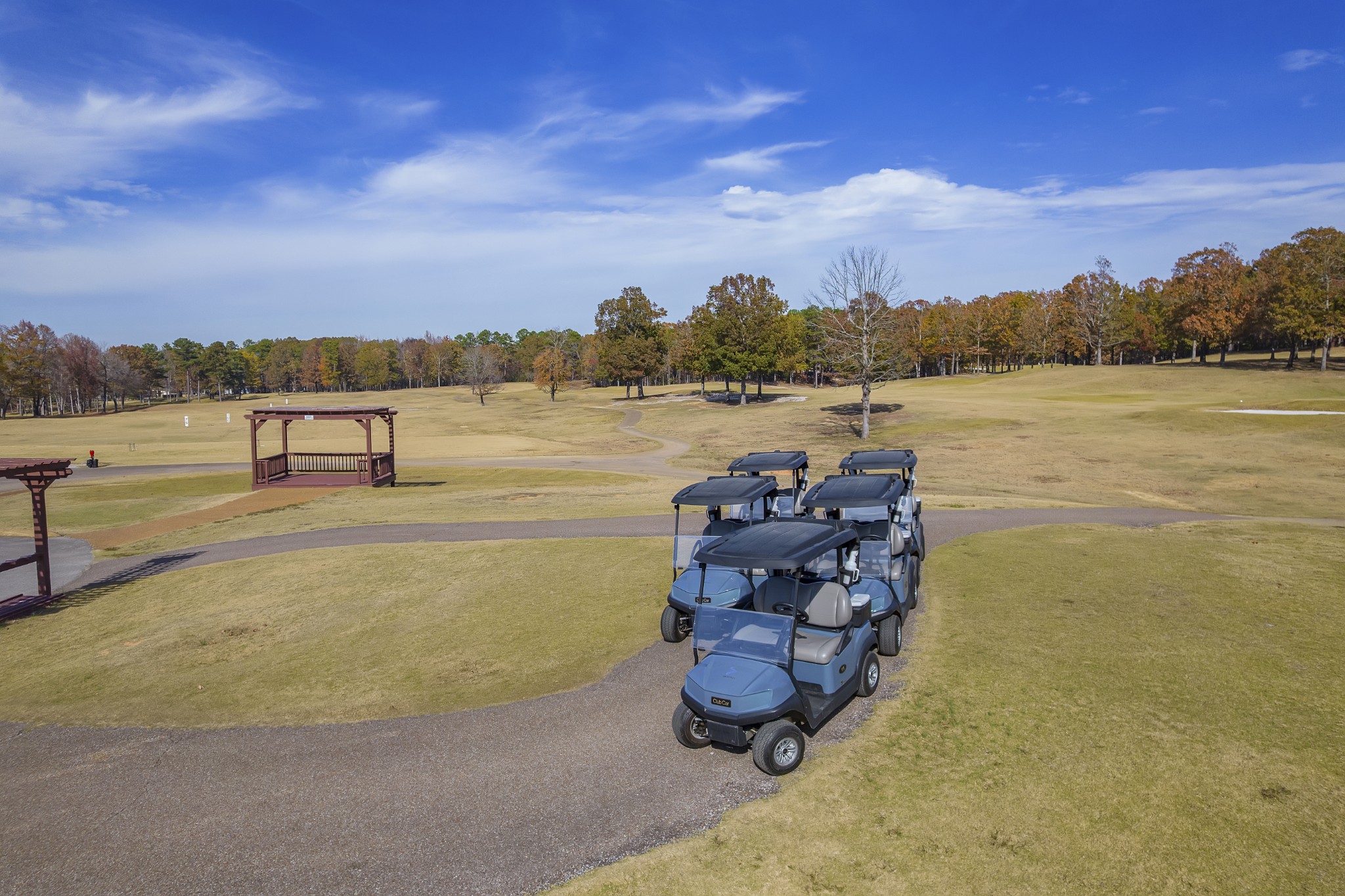 67 Dunhill Court Counce, TN 38326 - Photo 36 of 38