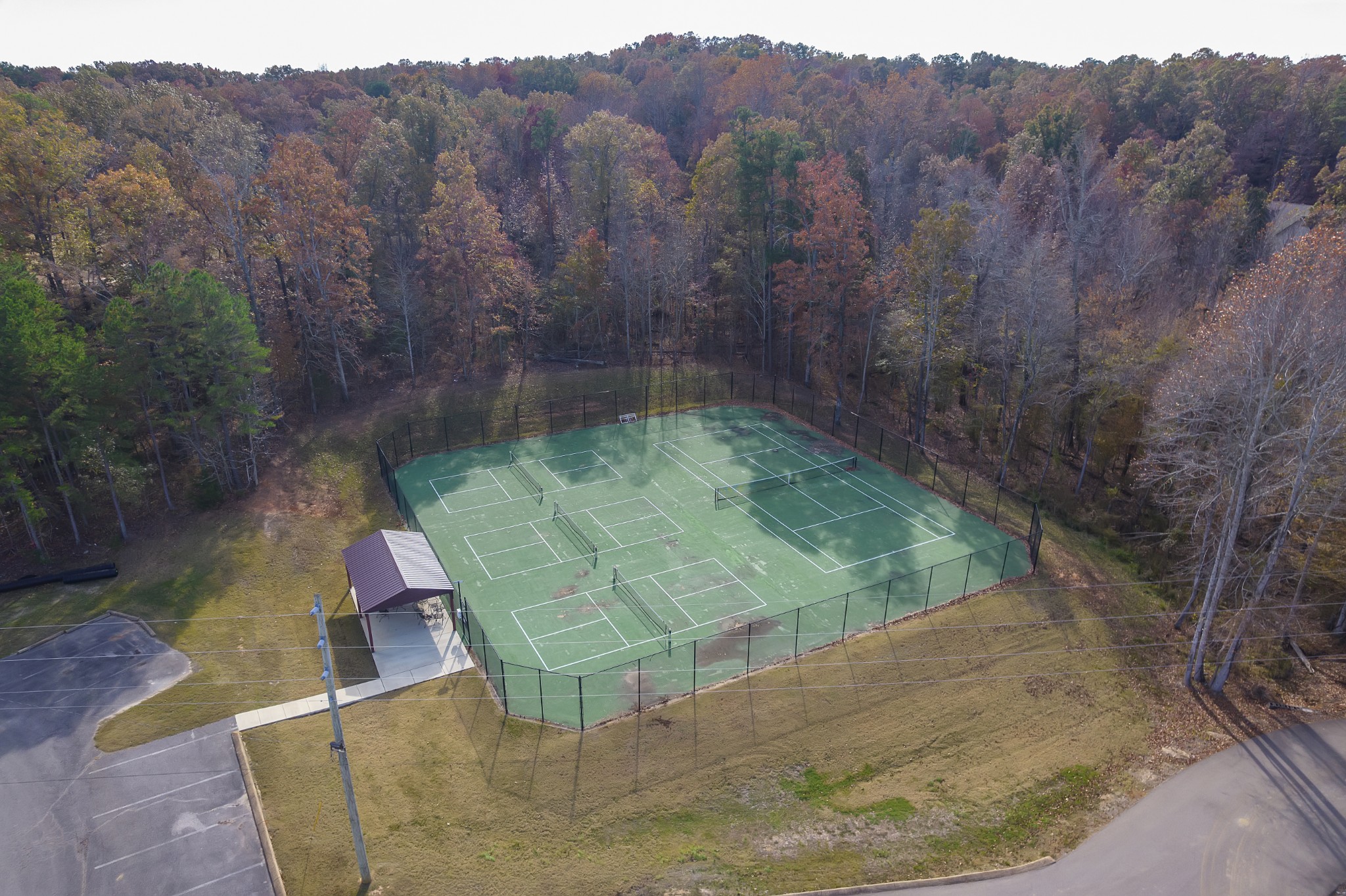 67 Dunhill Court Counce, TN 38326 - Photo 4 of 41