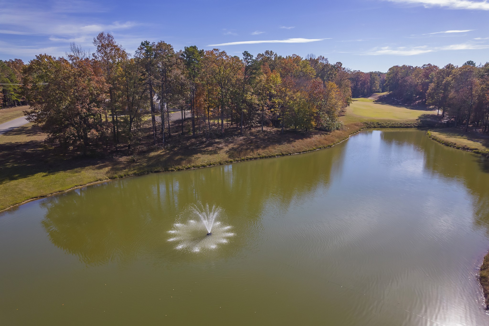 67 Dunhill Court Counce, TN 38326 - Photo 5 of 38