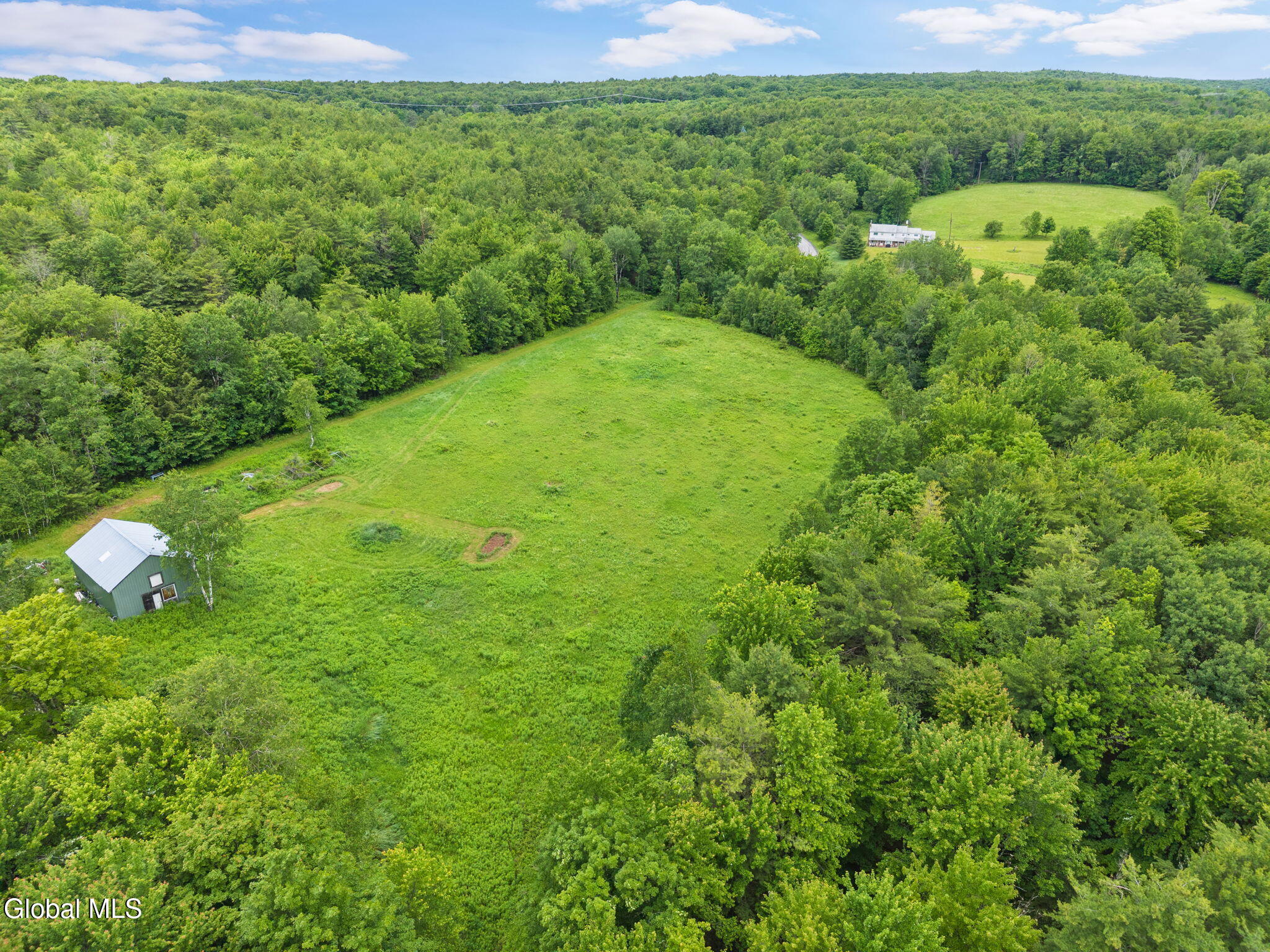 159 Ely Road Gilboa, NY 12076 - Photo 4 of 83 Field and barn looking toward house.