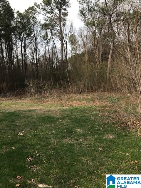 10 County Road 652 Rainsville, AL 35986 - Photo 21 of 22